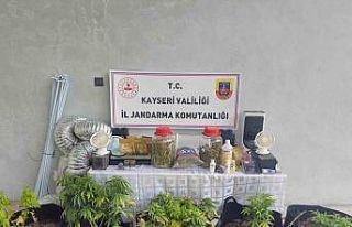 Kayseri’de evinde uyuşturucu yetiştiren şüpheli...