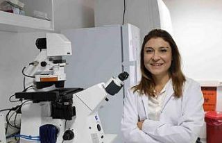 Kemik erimesinin tedavisinde uluslararası iş birliği