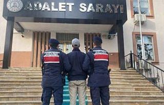 Kendisine saldıran köpeklerin sahibini vuran 17...