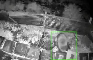 Kış uykusundan kalkan ayı, kovanlara saldırdı