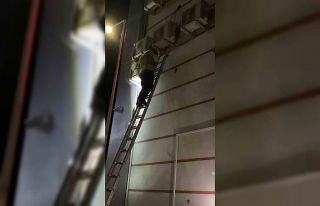 Klima motoruna sıkışan yavru kedi kurtarıldı