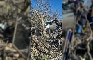 Kontrolden çıkan otomobil ağaçlara ok gibi saplandı:...