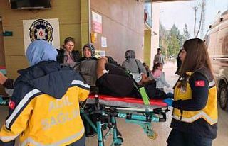 Kontrolü kaybeden kamyonet yoldan çıktı