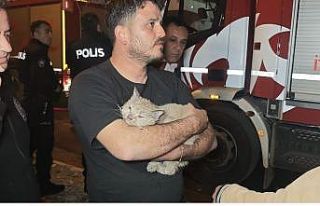 Korkutan yangında mahsur kalan kediyi itfaiye kurtardı