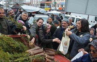 Korkuteli Orman İşletme Müdürlüğü 1000 fidan...