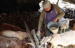 Korkuteli’nde yem ezme ve kırma makinesi üreticiye...
