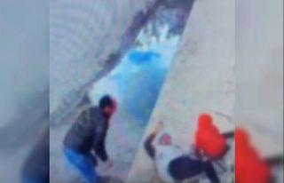 Kornaya bastı ama otomobile çarpmaktan kurtulamadı