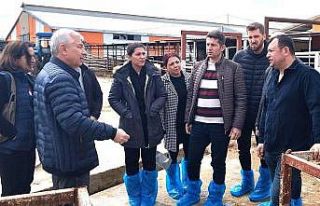 Kuraklık ile mücadele ve su kaynaklarının verimli...