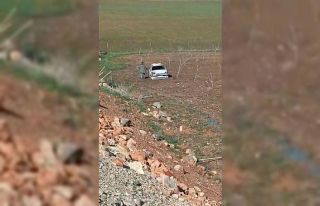 Kurtalan’da otomobil tarlaya uçtu: 1 yaralı