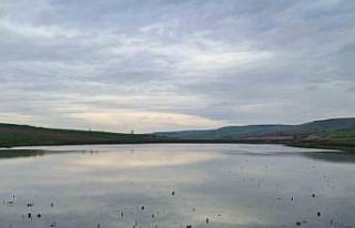 Kuruyan Yeşilsırt Göleti yağışlarla yeniden...