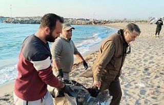 Kuşadası’nda 2 yeşil deniz kaplumbağası ve...