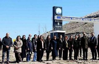 Kütahya OSB’de fidan dikim etkinliği