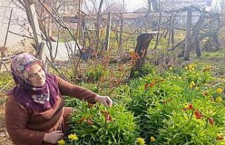 Kütahya’da "Ağlayan Gelin" güzelliği