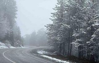 Kütahya’nın Domaniç Dağı’nda kar yağışı