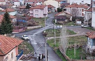 Mahallenin maskotu oldular, baharla birlikte yuvalarına...