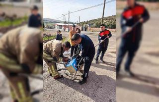 Mahsur kalan köpeklerin yardımına itfaiye yetişti