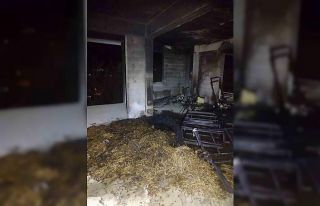 Manavgat’ta ardiye yangını korkuttu