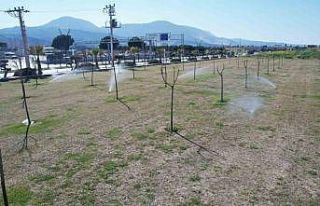 Manisa’da yeşil alanlarda akıllı sulama dönemi...