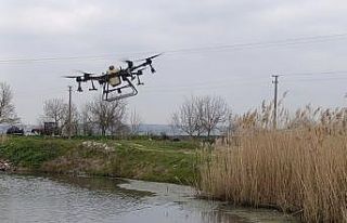 Manyas’ta sivrisinek ile mücadele seferberliği