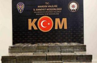 Mardin’de 11 bin 780 paket kaçak sigara ele geçirildi