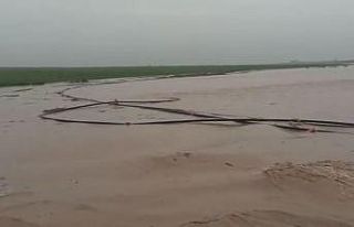Mardin’de sağanak hayatı felç etti: Dereler taştı,...