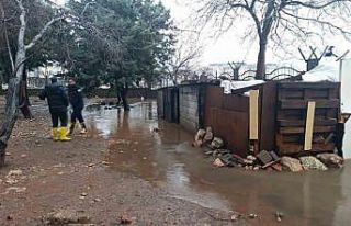 Mardin’de su basan kümeste 5 tavuk telef oldu