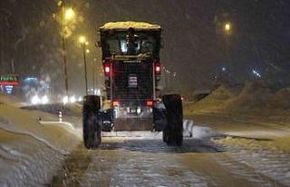 Mart geldi ama Bitlis’te kış bitmedi