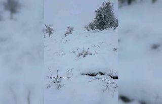 Mart sonunda Karıncalı Dağ’da kar sürprizi