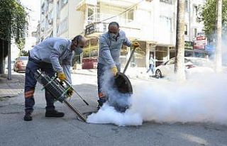 Mersin Büyükşehir Belediyesi kent genelinde haşereyle...