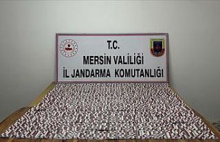 Mersin’de 5 binden fazla sentetik hapla yakalanan...