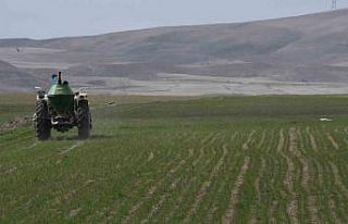 Mevsim yağmurları öncesi çiftçiler gübre mesaisine...