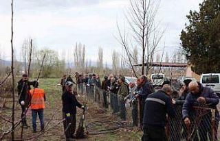 Meyve fidanı satışı 30 Mart’ta yapılacak