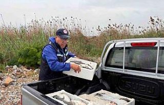 Milas’ta kaçak avcılığa geçit yok: 80 kilo...