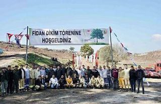 Milas’ta yanan sahalar fidanlarla canlanıyor