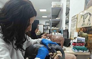 Milyon yıllık tarih minyatürleştiriliyor