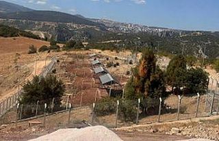 Milyonluk Sokak Hayvanları Doğal Yaşam Alanı ortada...