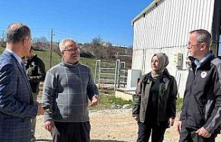 Müdür Ayvalık, üreticilerle tarım ve hayvancılığı...