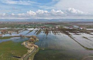 Muş Ovası’nda kar erimesi ve sağanak tarım arazilerini...