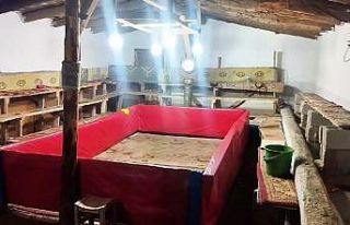 Muş’ta horoz dövüşü yapan 23 kişiye ceza