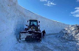 Muş’ta kapanan tüm köy yolları ulaşıma açıldı