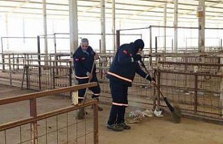 Nazilli Hayvan Pazarı 7 ay sonra yeniden açılıyor