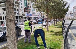 Niğde bahara hazırlanıyor