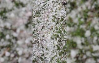 Niğde’de dolu yağışı etkili oldu