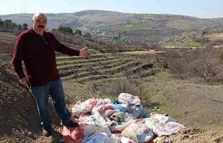 Olimpiyat şampiyonu Mahmut Demir çevre dedektifliğine...