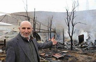 Oltu’da korkutan yangın: Arı kovanları yandı