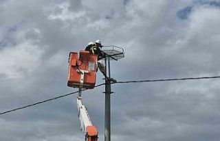 Ölüm hattıydı, yuvalara dönüştü: Bini aştı