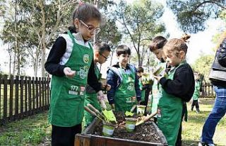 Orman Okulunda miniklere doğa dersi