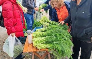 Ot festivali şiddetli yağışla yarıda kaldı
