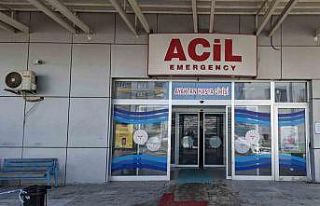 Otomobil ağaca çarptı: 1 yaralı