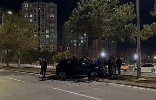 Otomobil refüjdeki ağaca çarptı: 1 yaralı